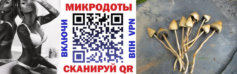 купить наркотики сайты  Харовск  Псилоцибиновые грибы мухоморы 